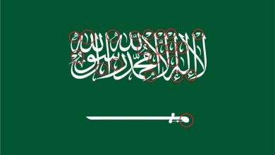 السعوديون يواصلون تبرعاتهم لإغاثة الشعب الفلسطيني  والتبرعات تتجاوز 300 مليون ريال في رابع أيام الحملة