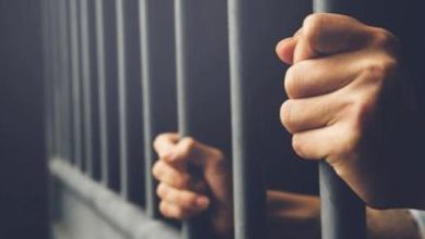 السجن المشدد 15 سنة للمتهم بقتل ضحية الشهامة في بولاق الدكرور