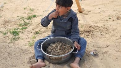 اعلاف الحيونات.. الجوع يسيطر على سكان شمال قطاع غزة 