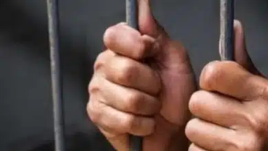 سرقوا مخزنًا في فيصل.. 5 أشخاص يواجهون هذه العقوبة طبقًا للقانون